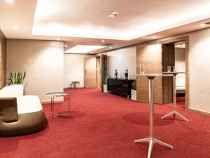 Отель "Ibis Styles" | Общая информация. Конференц зал