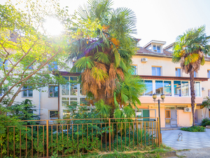 Гостиница "Морская звезда, корп. 1 Комфорт. Лазаревское" | 