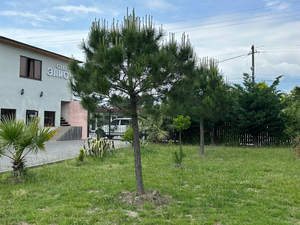 Отель "Элион" | Общая информация