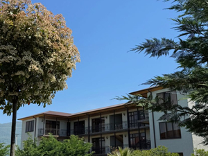 Отель "Элион" | 