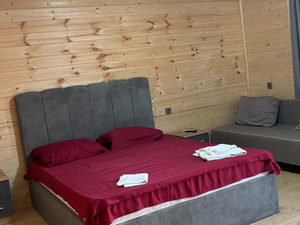 Отель "Элион" | 2-местный  коттедж