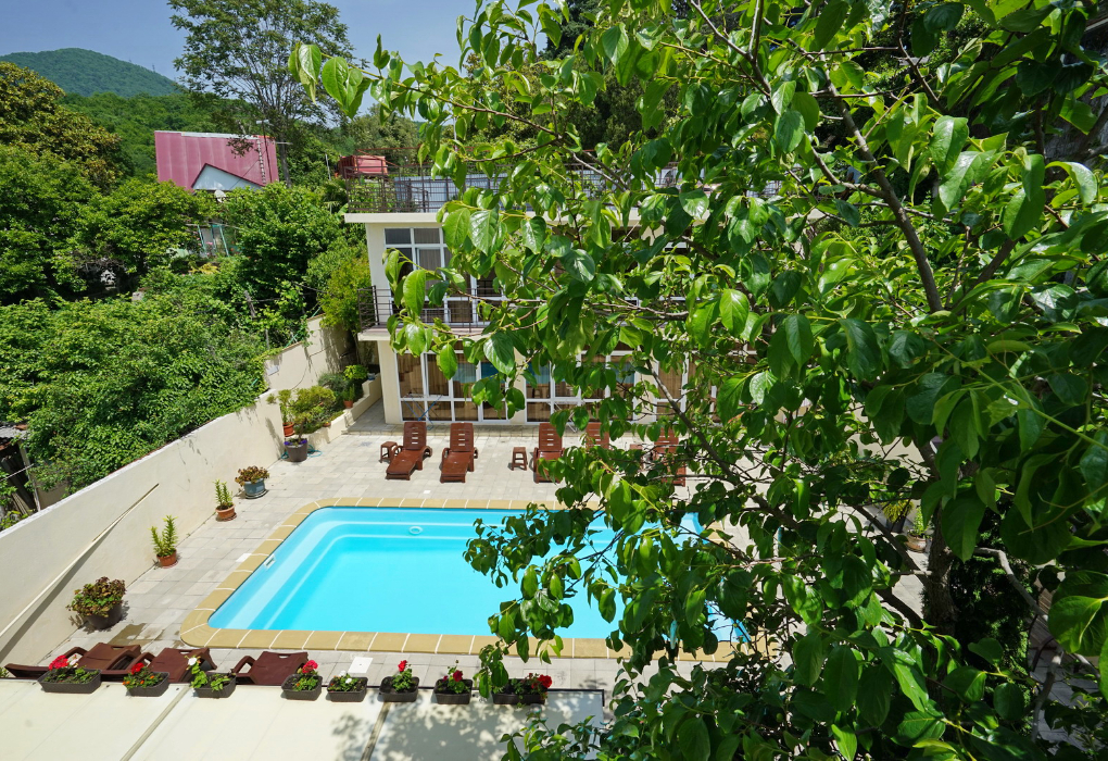 Гостиница "Пальмира Лазаревское" | 