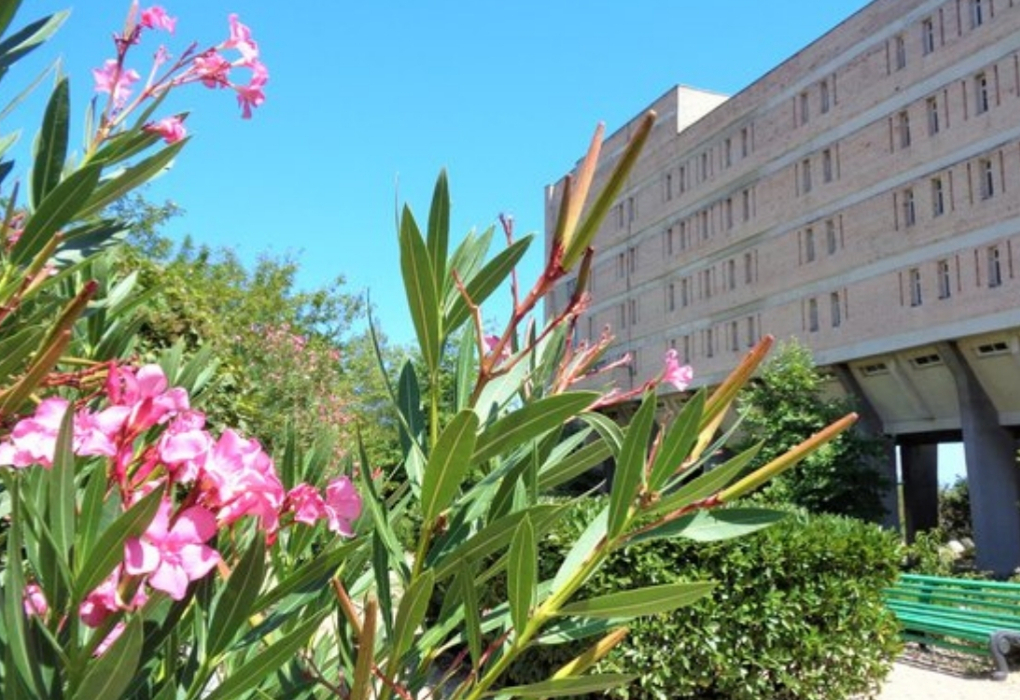 Санаторий "Южнобережный" | 