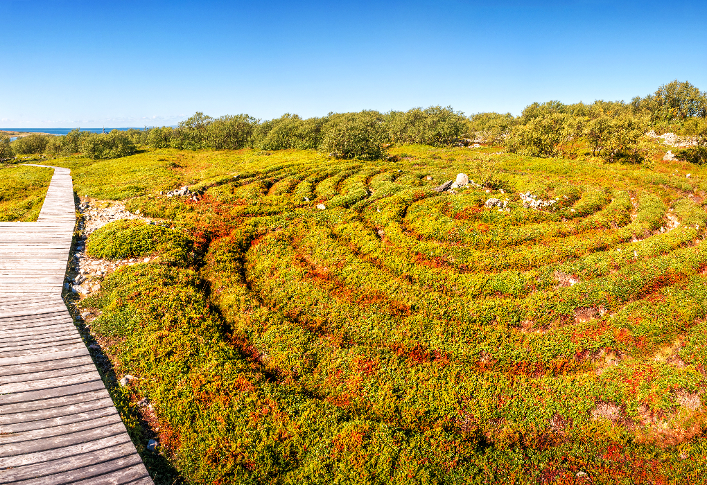 "Извилистой карельской тропой", тур на 6 дней: Кижи - Валаам - 3 дня на Соловках | 