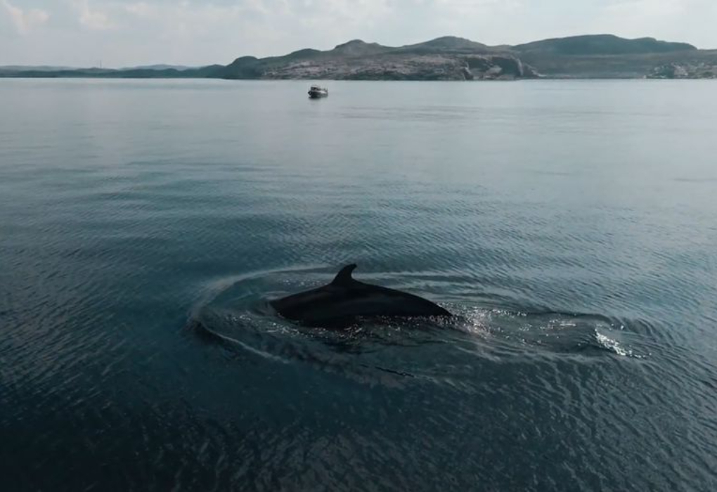 "Заполярные каникулы", тур на 4 дня, ЛЕТО, Мурманск | 