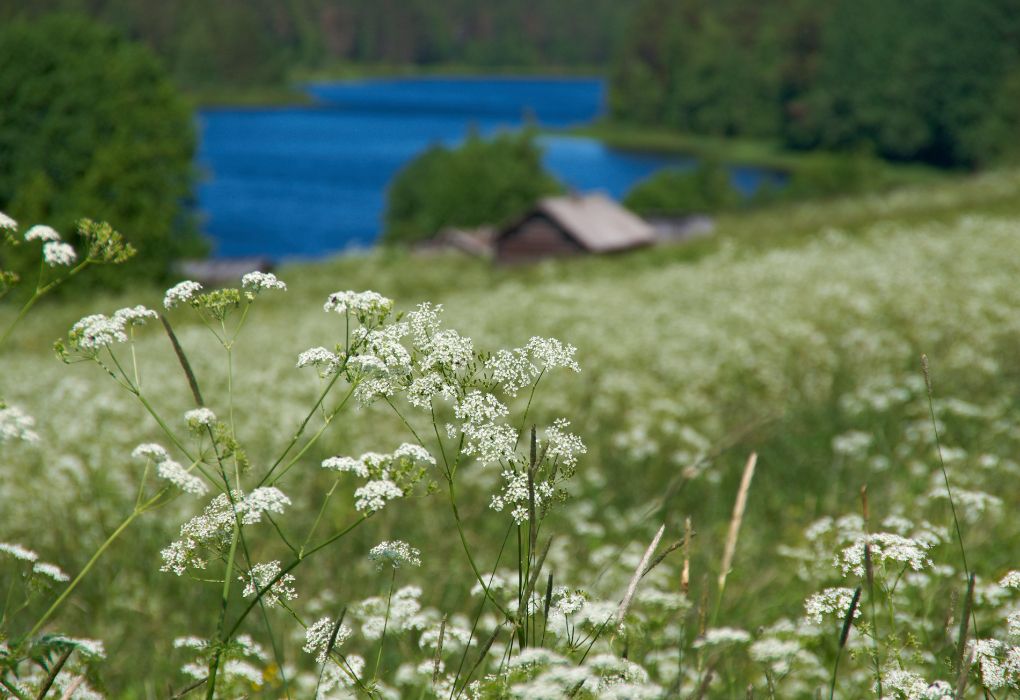 "Архангельск - место русской силы" с 2 ночными переездами, тур на 5 дней | 