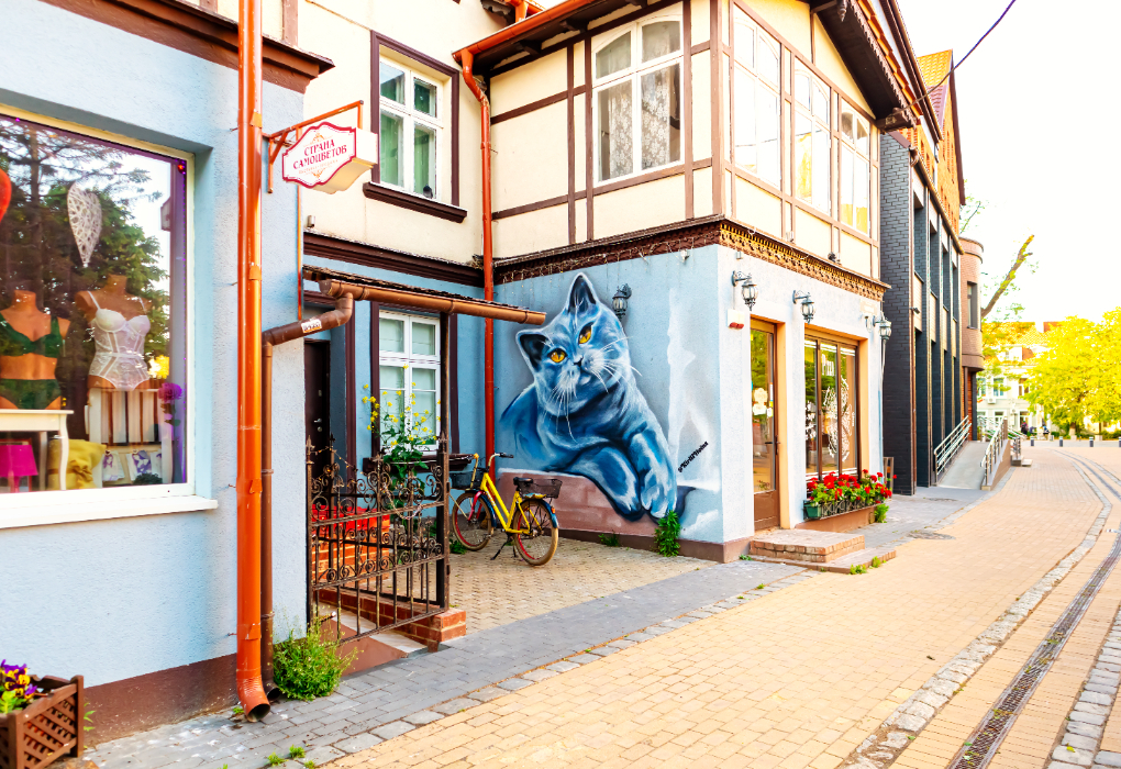 «Калининград 4 you», тур на 4 дня | 