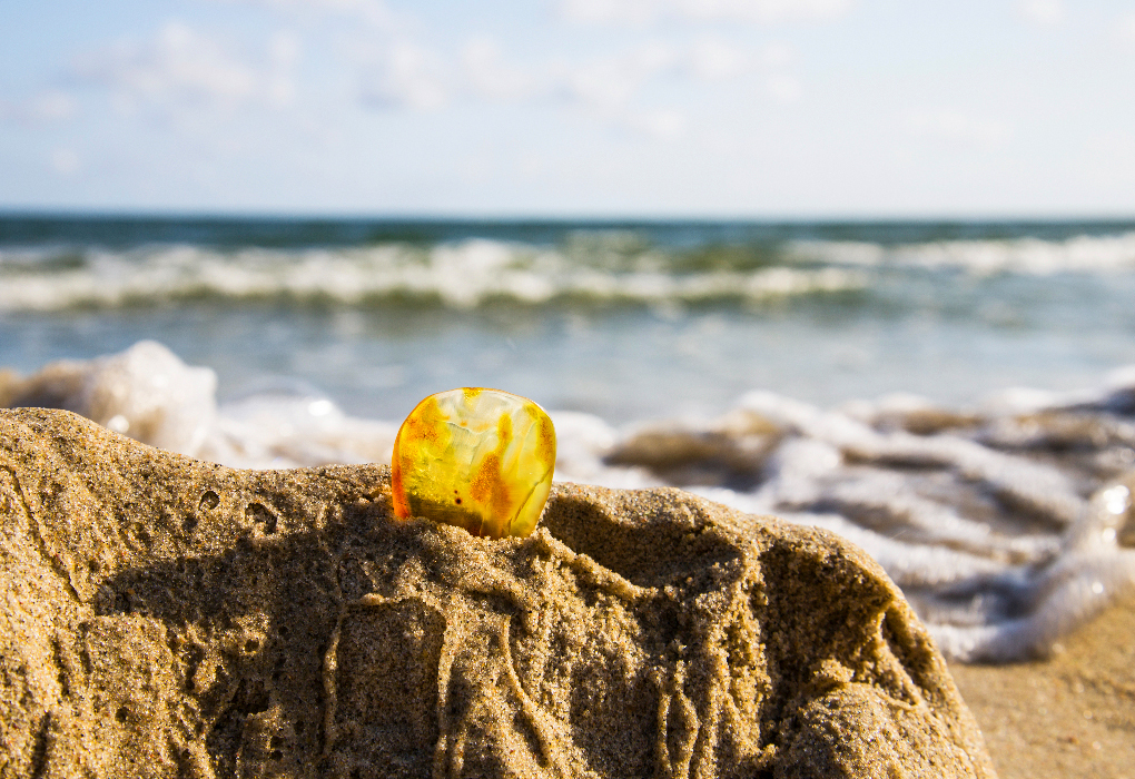 "Релакс-тур в Калининград", тур на 4 дня | 