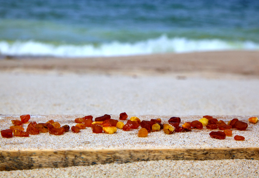 "Солнце, море и янтарь", летний тур на 8 дней | 