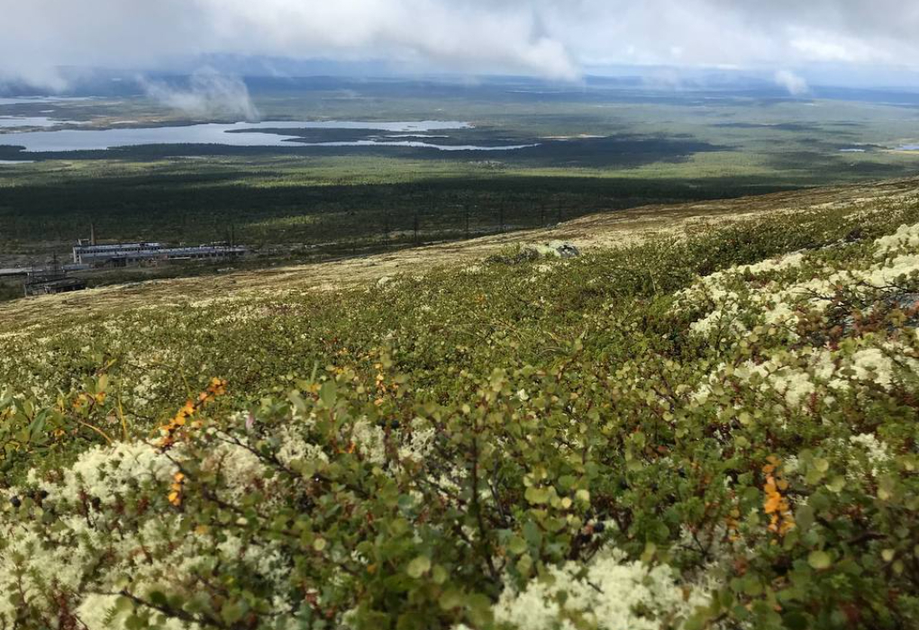"Ловозерские тундры", Лето,  без ночевки в гостинице, автобусный тур из Мурманска на 1 день | 
